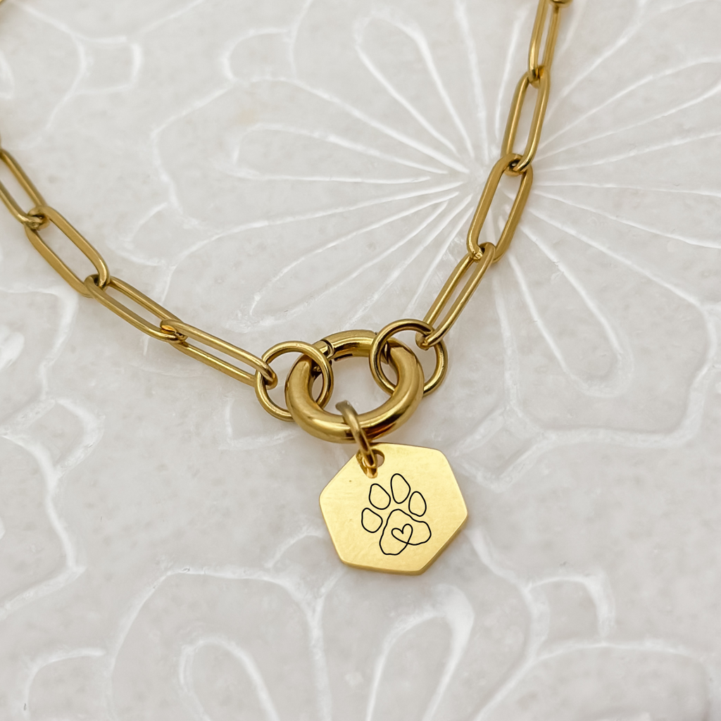 Gold hexagon puppy paw charm on a charm keeper paperclip chain necklace, featuring a minimalist paw print design. Perfect for women’s jewelry collections and pet lovers, crafted from hypoallergenic, waterproof, and tarnish-resistant stainless steel.