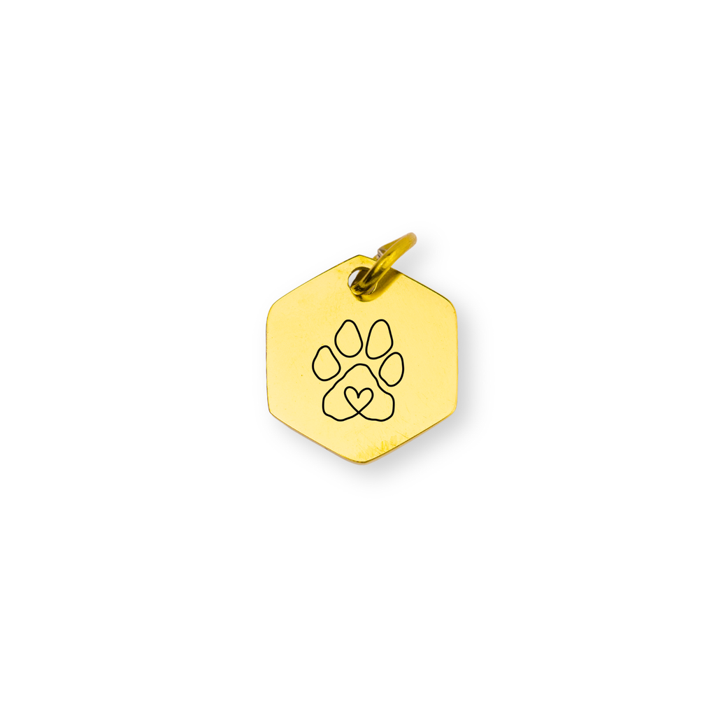 Pet Paw Engraved Hexagon Charm